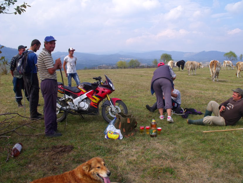 Asteptam berea , apa si placintele