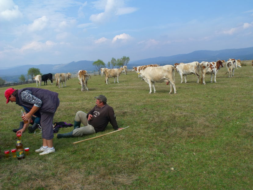 Pauze de bere si placinte cu urda