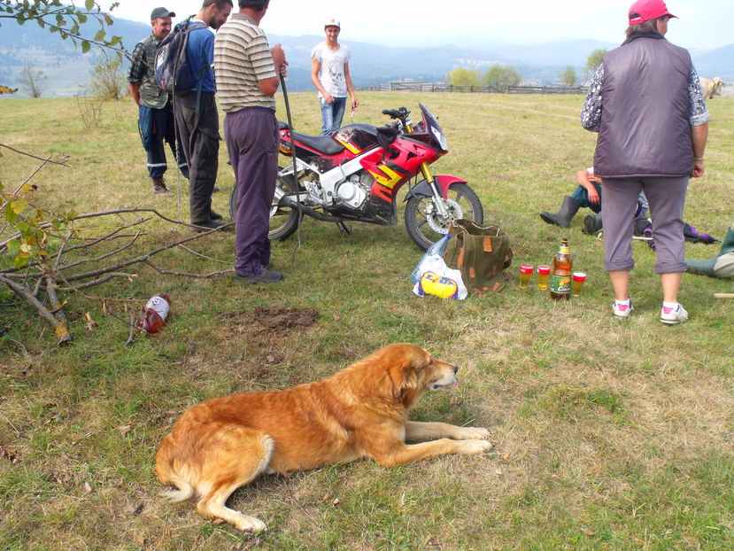 Mancam putin si plecam la drum