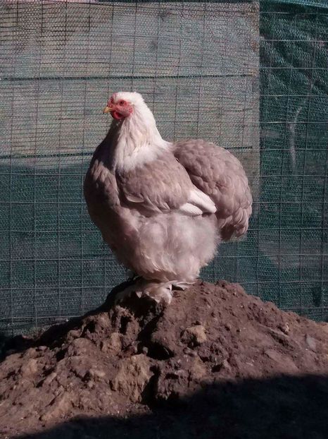 received_634893163340279