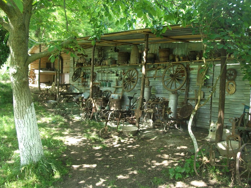 la tara 2016 mai 030 - POZE2016