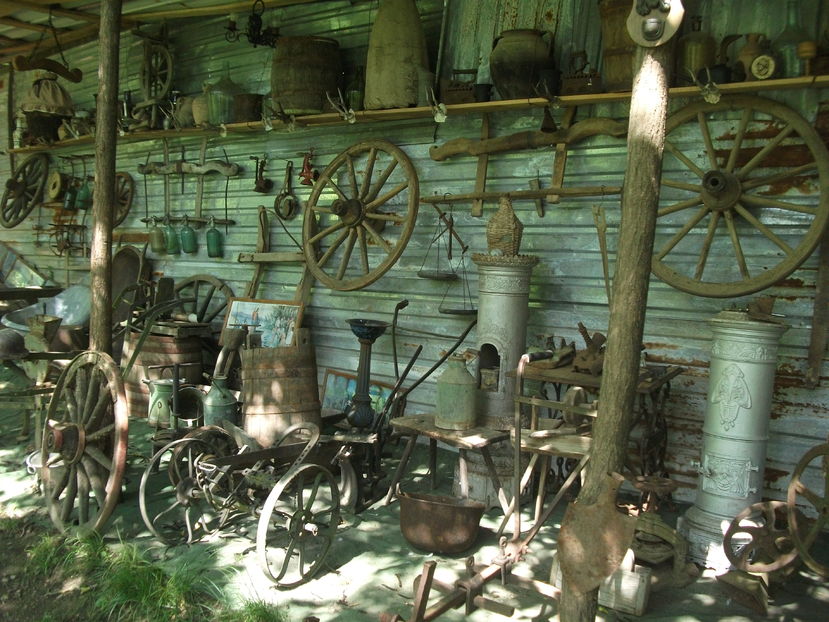 la tara 2016 mai 034 - POZE2016