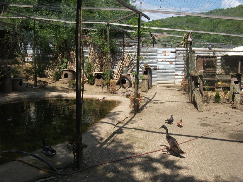 la tara 2016 mai 035