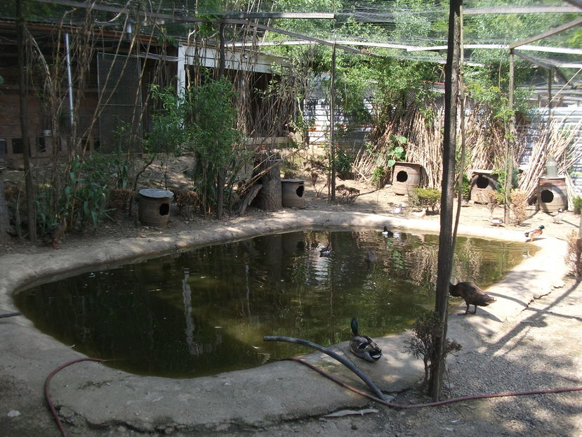 la tara 2016 mai 036 - POZE2016