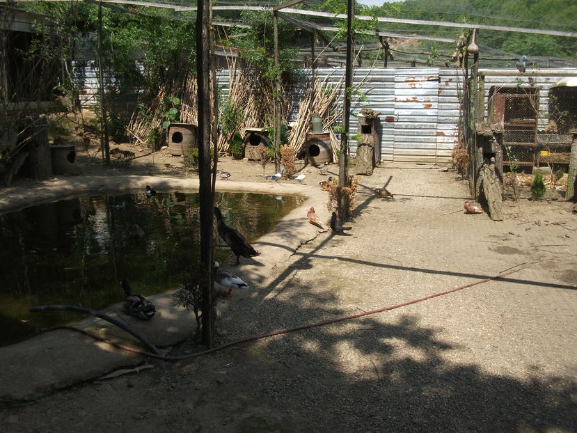 la tara 2016 mai 037