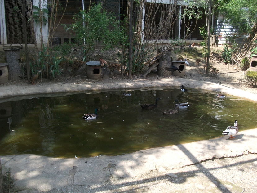 la tara 2016 mai 038 - POZE2016