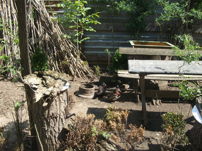 la tara 2016 mai 040