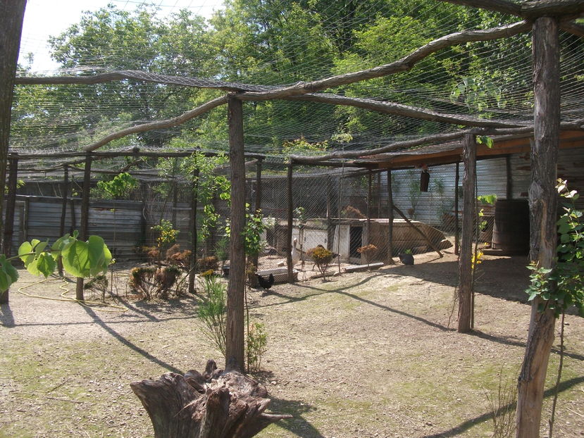 la tara 2016 mai 059