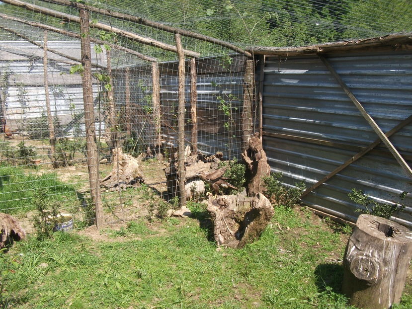 la tara 2016 mai 068