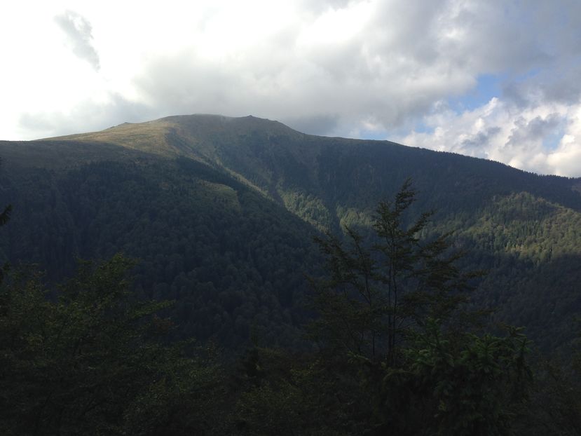 image - MUNTII FAGARAS -BUCEGI- VALCAN - PARANG SI RETEZAT