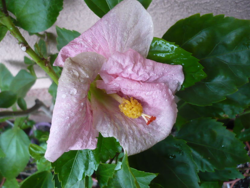 P1300050