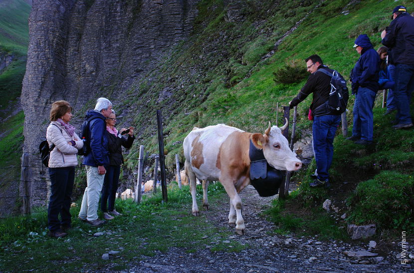 Urcam mai la munte-6yjj