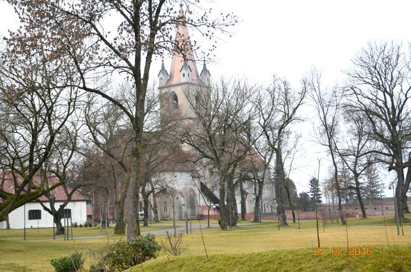 12805935_10207791773447351_868476017822637774_n