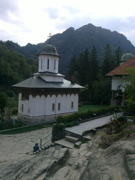 manastirea turnu