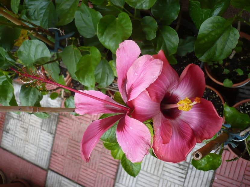 P1300065
