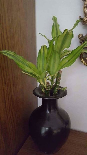 received_1586386318329823