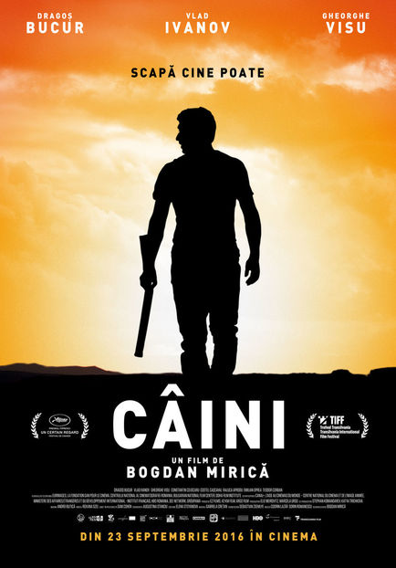 din 23 sep, Caini (2016) - Filme in curand