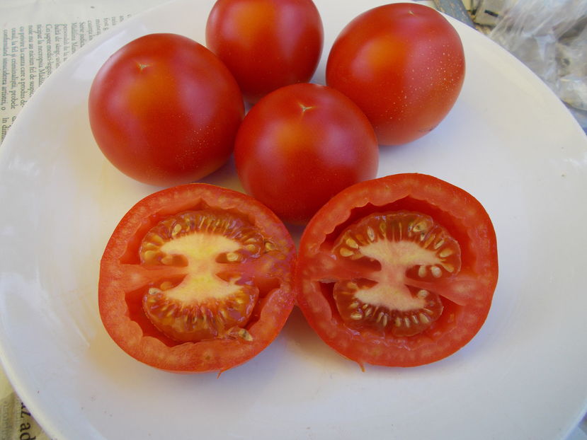  - SEMINTE ROSII - MATINA