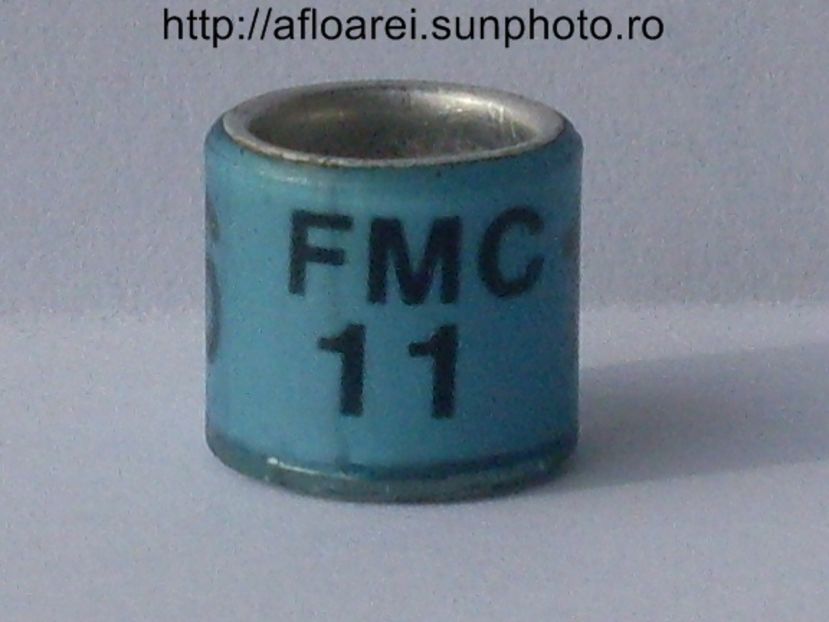 fmc 11 - BRAZILIA- BR