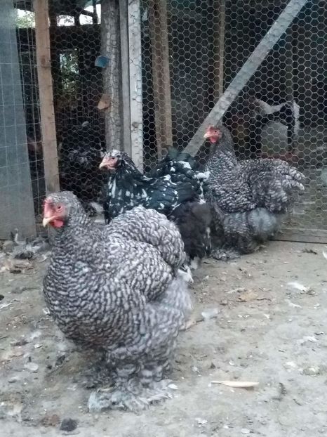 received_1828097457424051