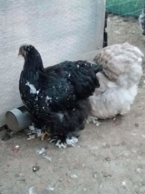 received_1828097440757386