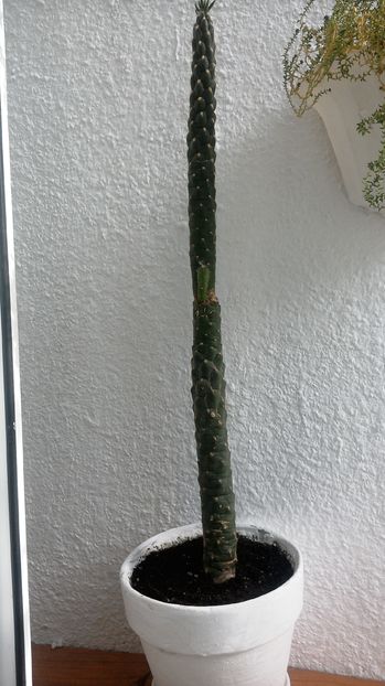 WIN_20160922_162901; ,,Mama&#039;&#039;
