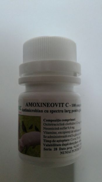 AMOXINEOVIT C 100 CP - 14,50