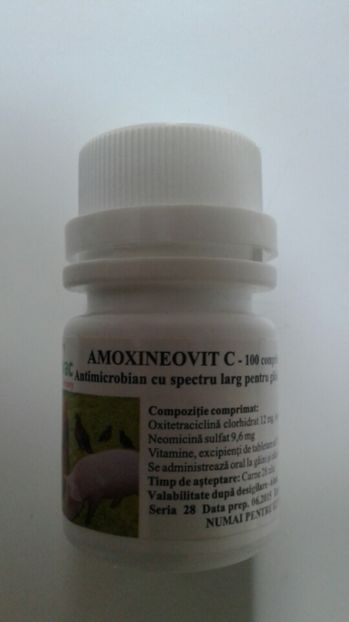 AMOXINEOVIT C 100 CP 12 RON