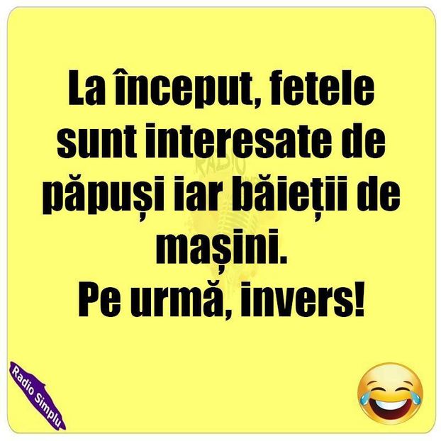 14333173_1127848863919270_8514229547346226992_n - Diverse