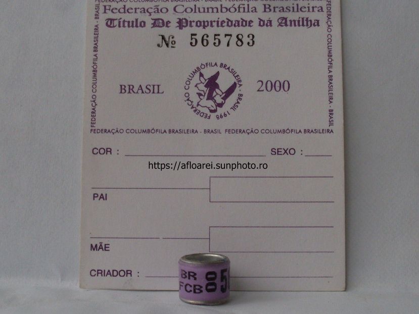 BR FCB 00 - BRAZILIA- BR