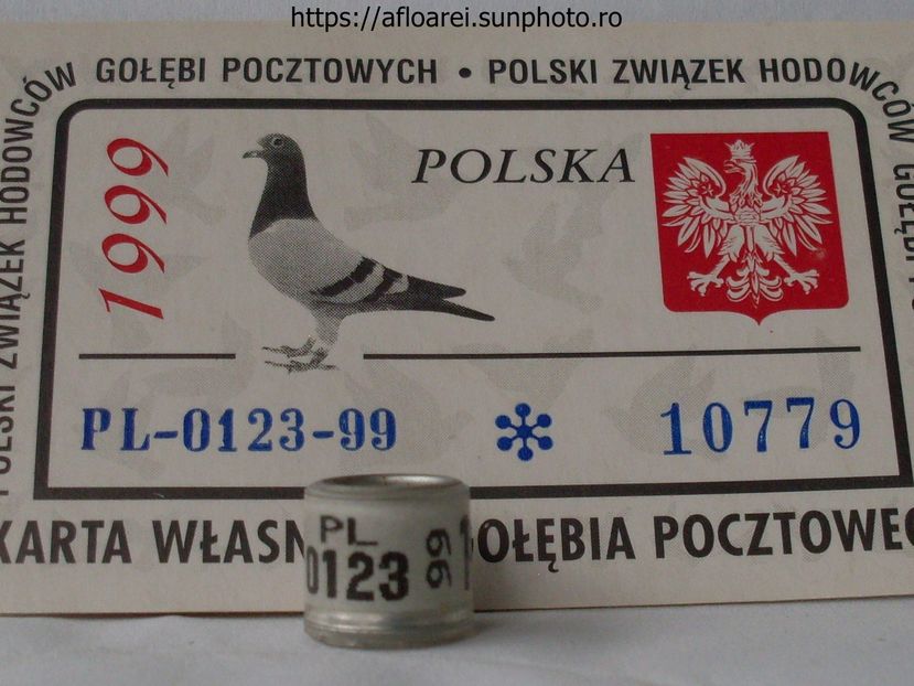 PL 99 - POLONIA -PL