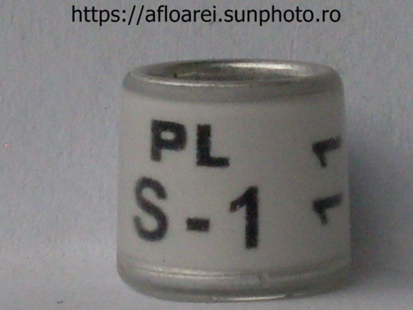 PL S-1 11