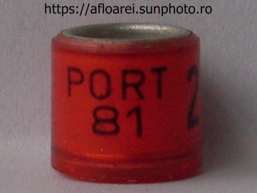 PORT 81