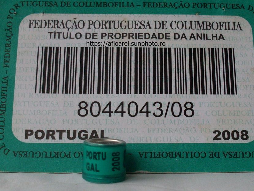 PORTUGAL 2008
