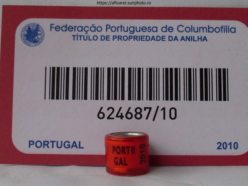 PORTUGAL 2010