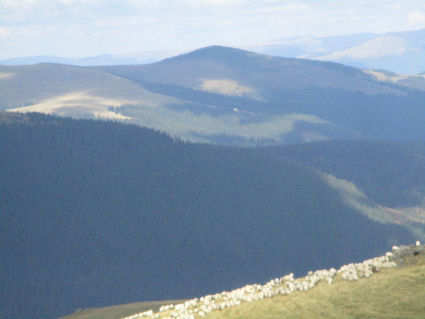  - Transalpina 2016