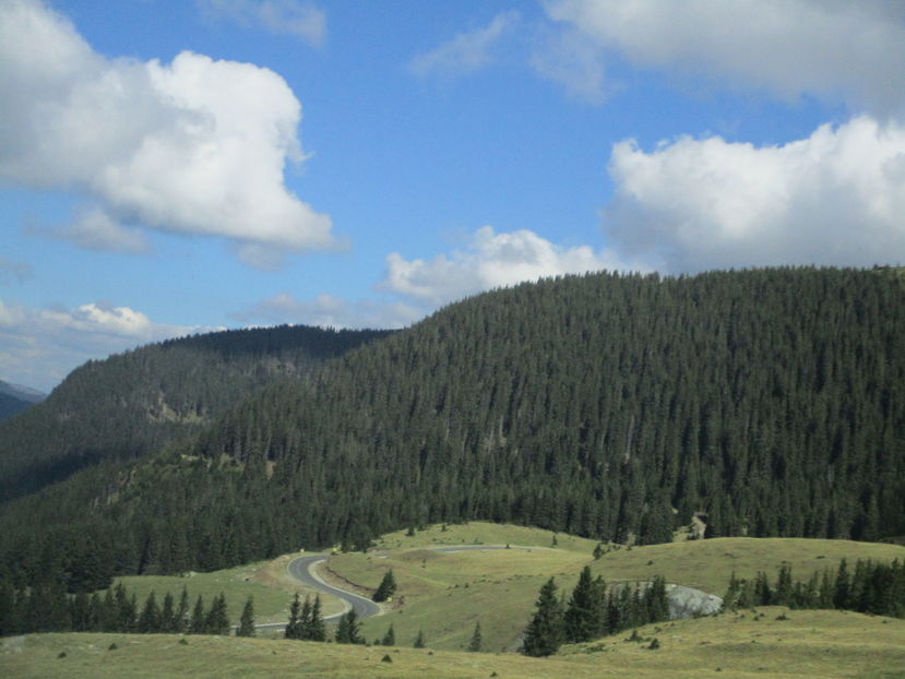  - Transalpina 2016