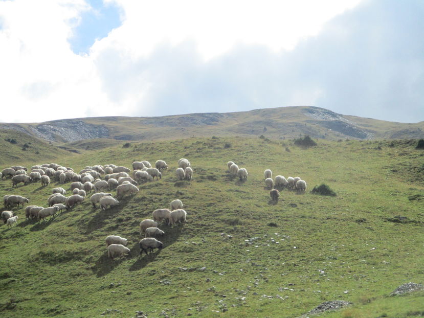  - Transalpina 2016