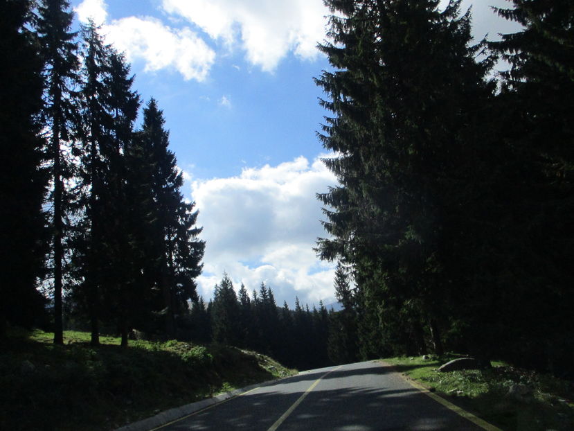  - Transalpina 2016