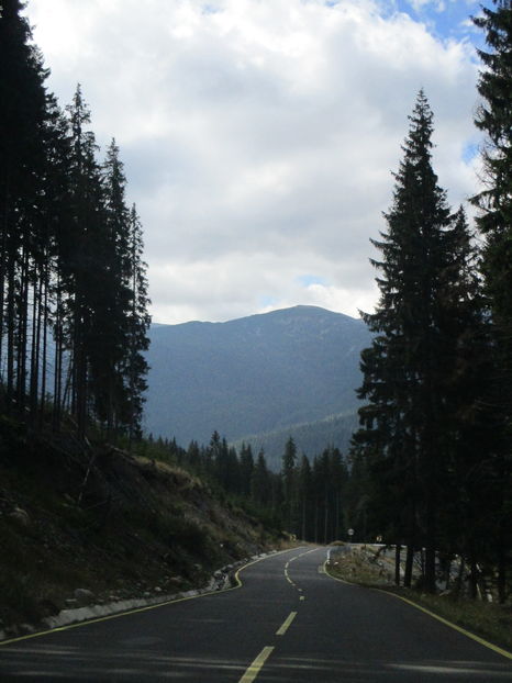  - Transalpina 2016