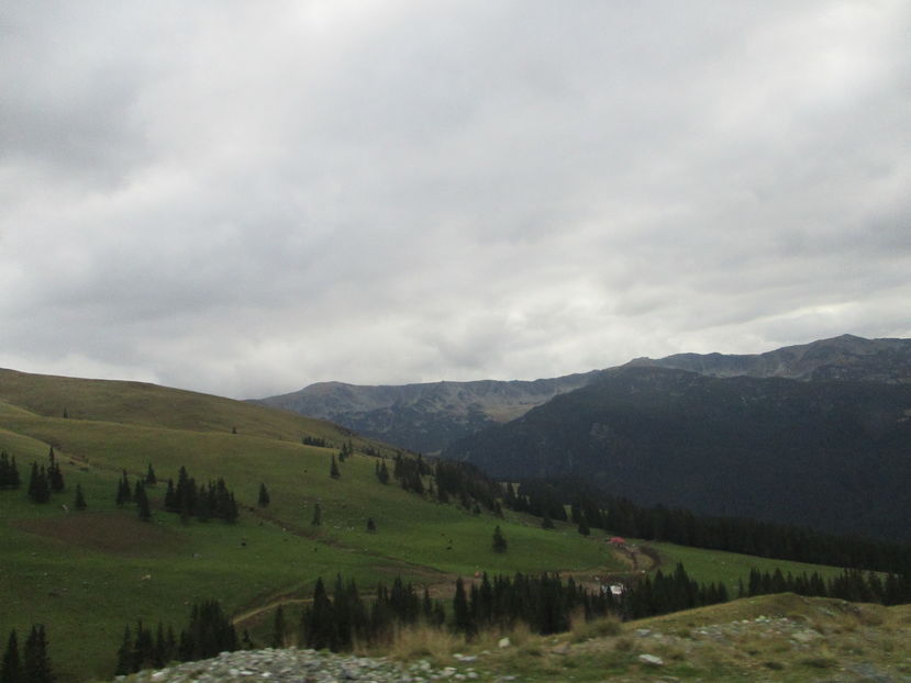  - Transalpina 2016