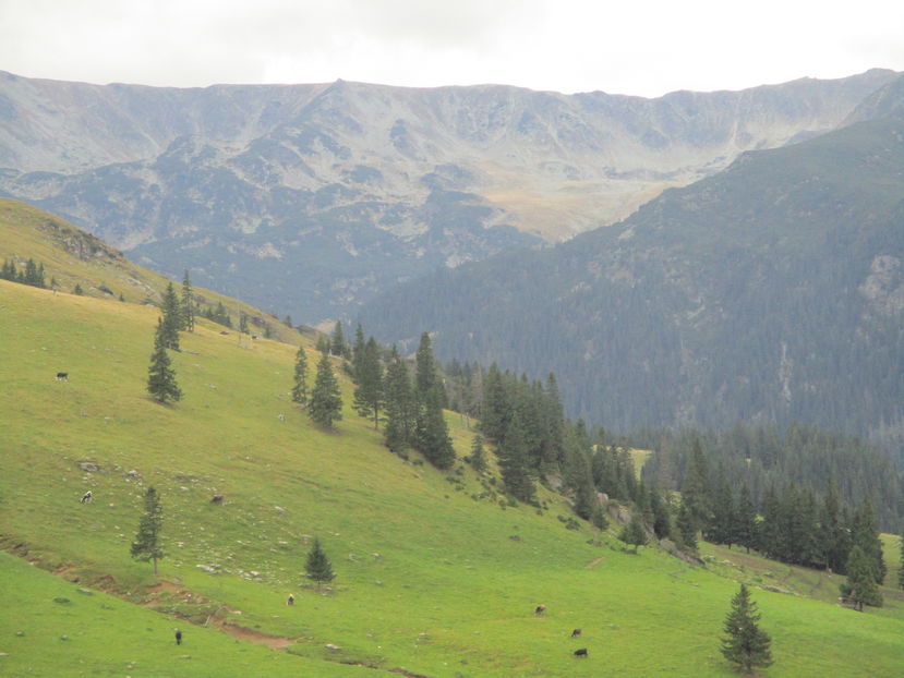 - Transalpina 2016