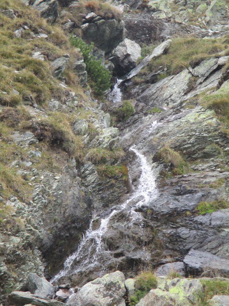  - Transalpina 2016