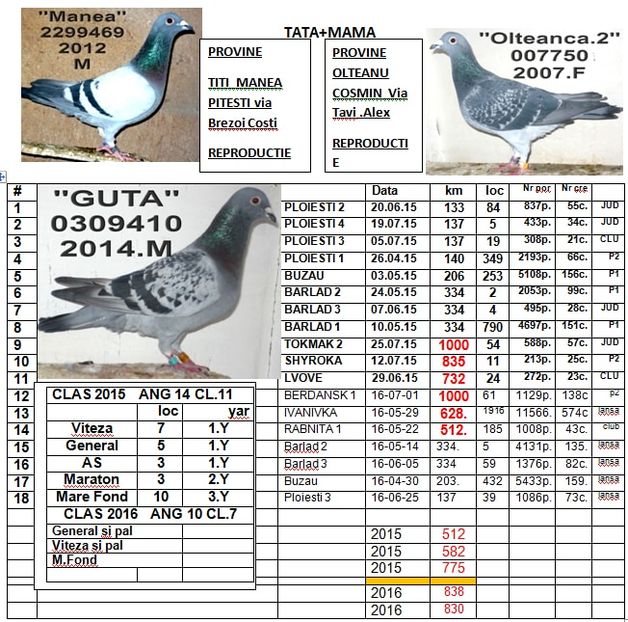 GUTA.2016 - 2-2016 MARATONISTI