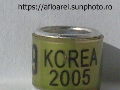 korea 2005