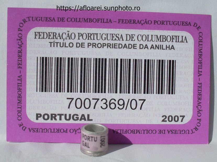 portugal 2007 - PORTUGALIA-PORTUGAL