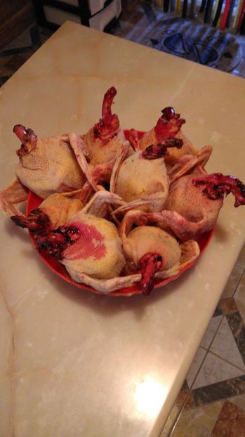 8 dintr'o lovitura :)); 8 bucati la 6,3Kg ...curatati :))
