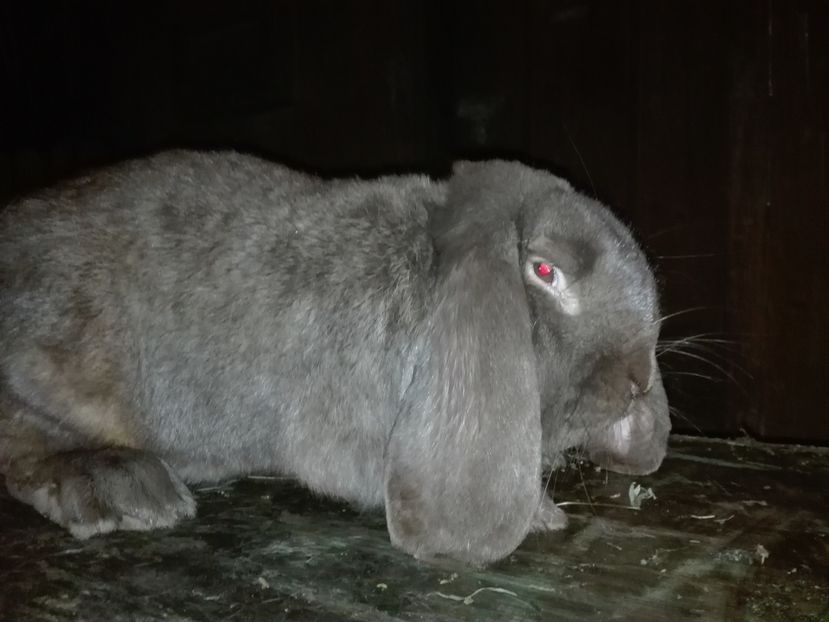 Copie IMG_20160927_202446