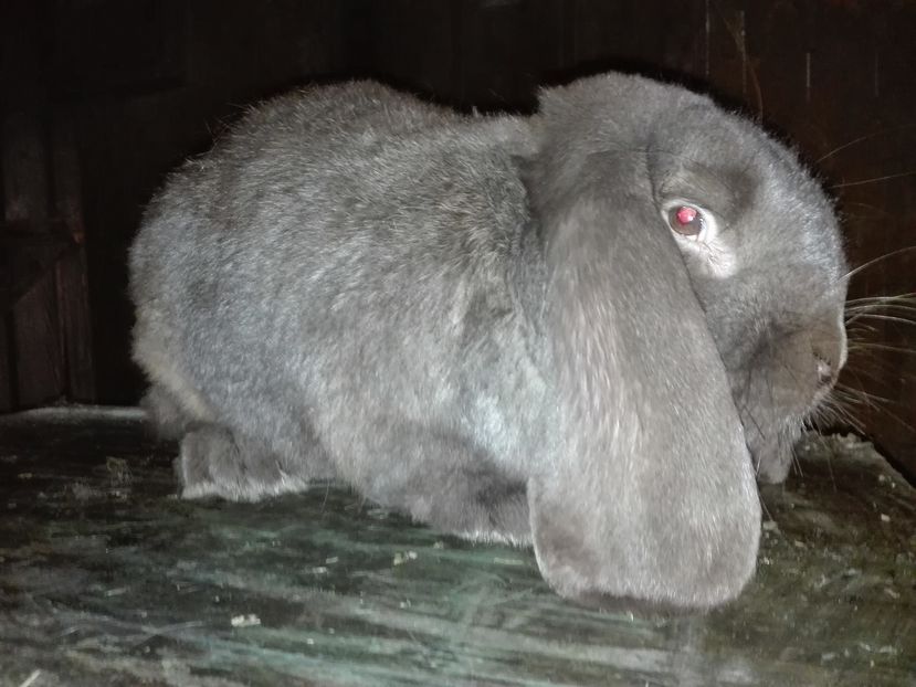 Copie IMG_20160927_202633