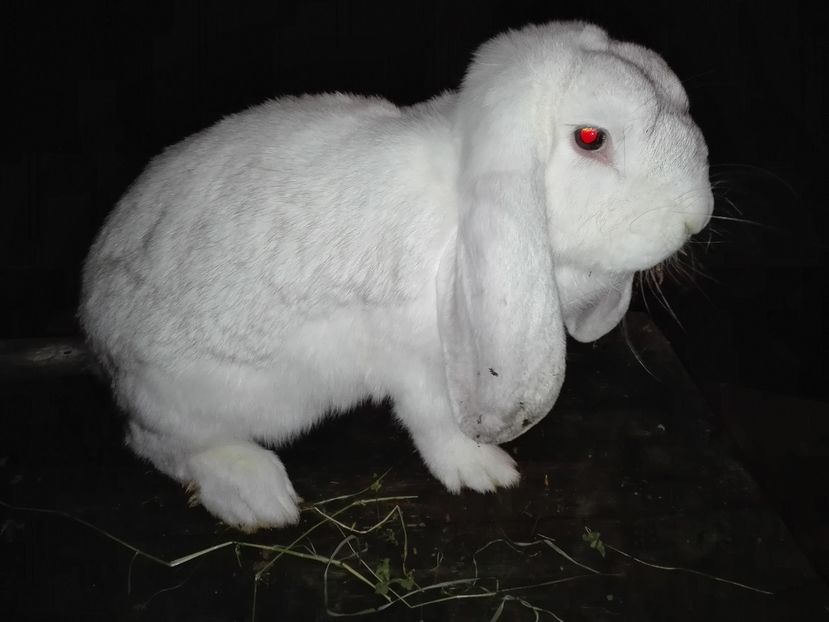 Copie IMG_20160927_203010